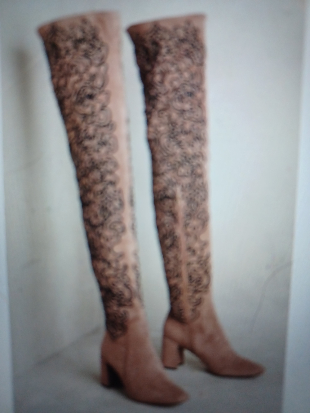 Jeffrey Campbell Taupe Over-the-Knee Boots with Black Floral Embroidery--8.5